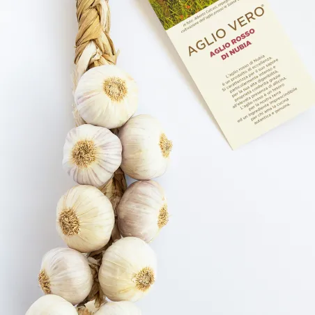 Nubia Red Garlic - 11 bulb braid - Saline Culcasi