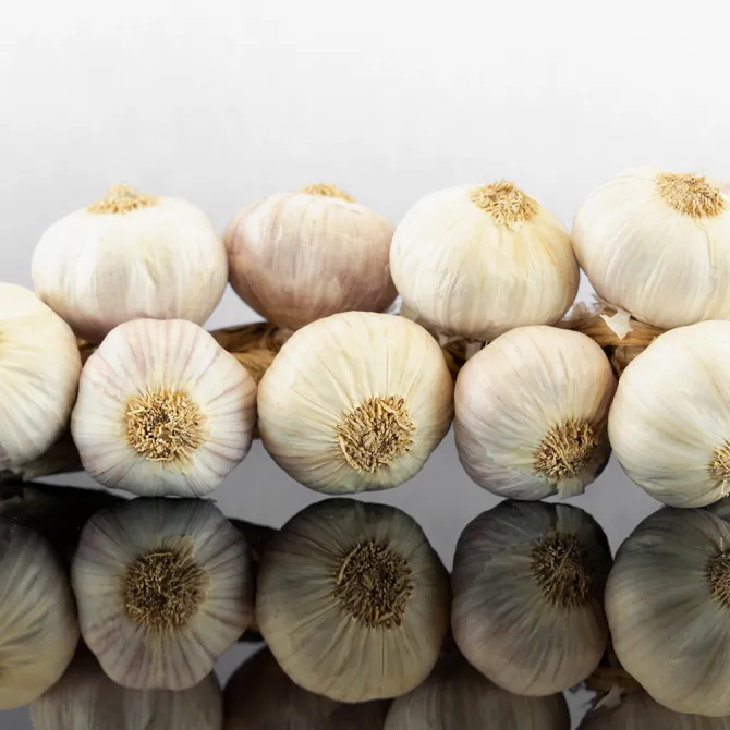 Nubia Red Garlic - 11 bulb braid - Saline Culcasi