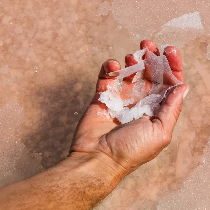 Fleur de Sel with Nubia Red Garlic | Sicilian Gourmet Salt