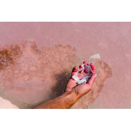 Trapani Fleur de Sel 5 kg | Difference Between Sea Salt and Fleur de Sel