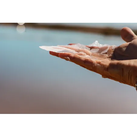 Fior di Sale 5 kg | Differenza tra Sale Integrale e Fior di Sale