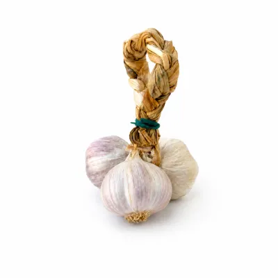Nubia Red Garlic 3 Bulbs 50-55 mm | Saline Culcasi