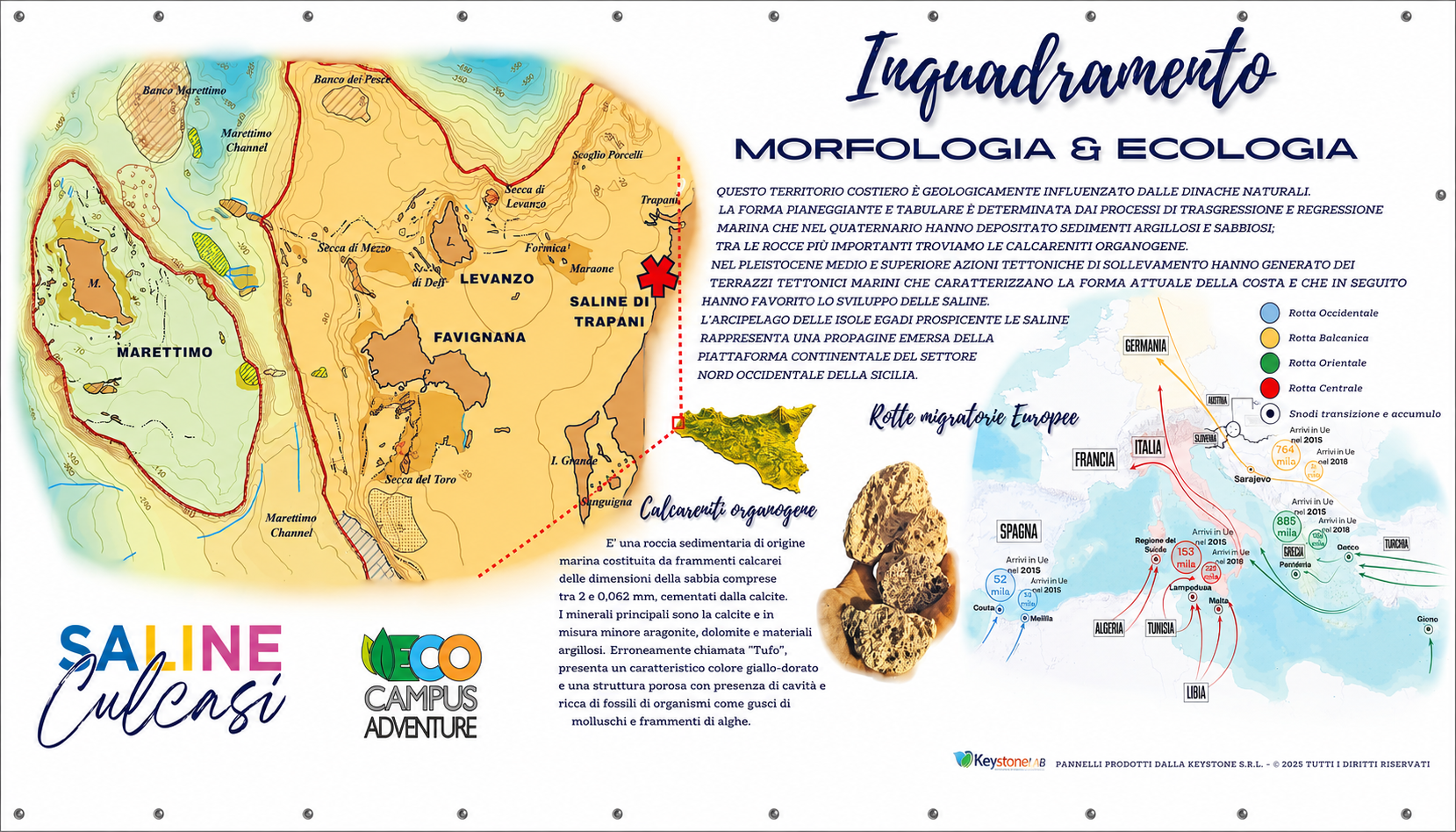 morfologia ecologia saline di trapani