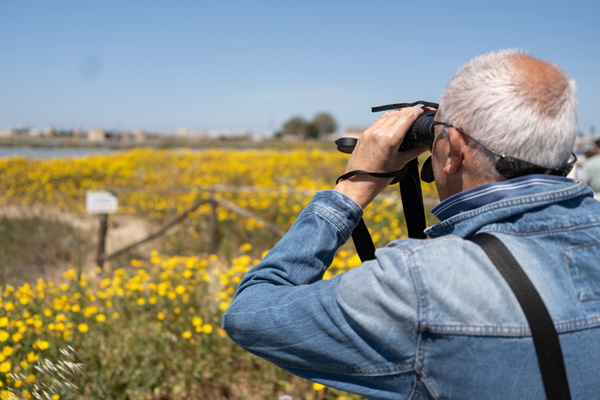 Birdwatching nelle Saline Maria Stella di Trapani