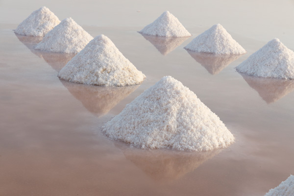 Esperienza del Salinaio