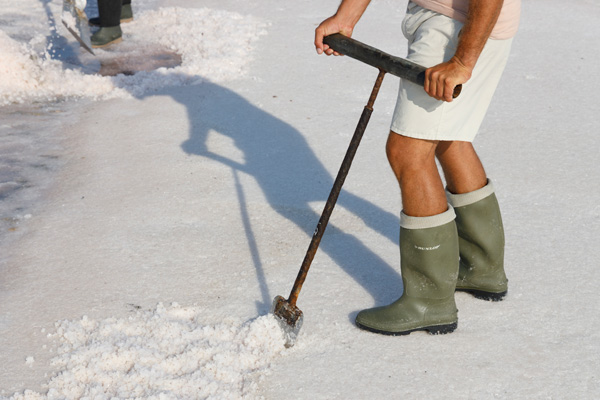 Esperienza del Salinaio