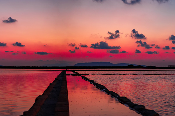 Visita guidata alle Saline di Trapani