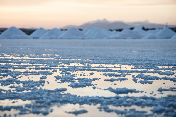 Visita guidata alle Saline di Trapani