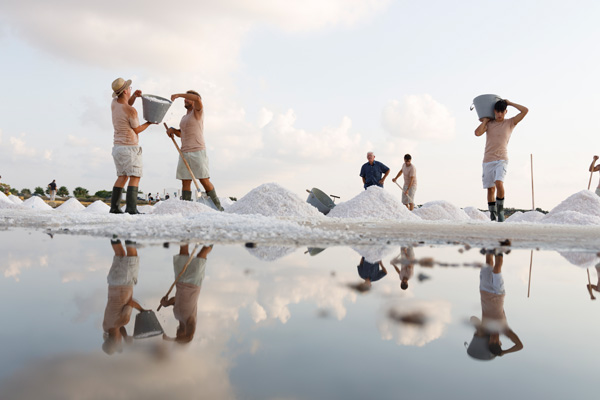 Visita guidata alle Saline di Trapani