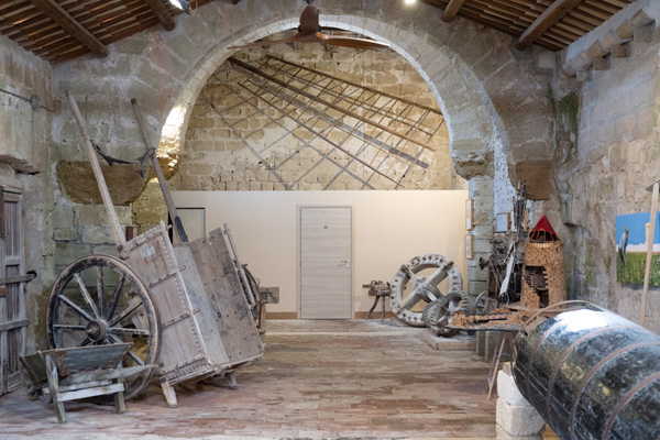 Visita guidata alle Saline di Trapani