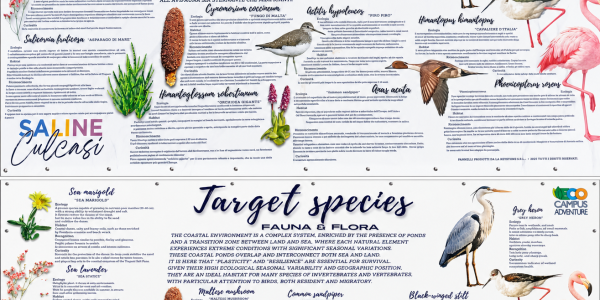 Le specie target: fauna & flora