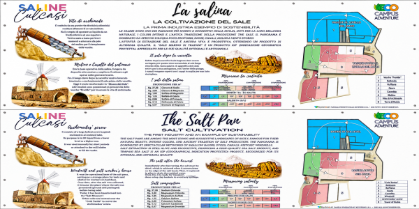 La salina: la coltivazione del sale