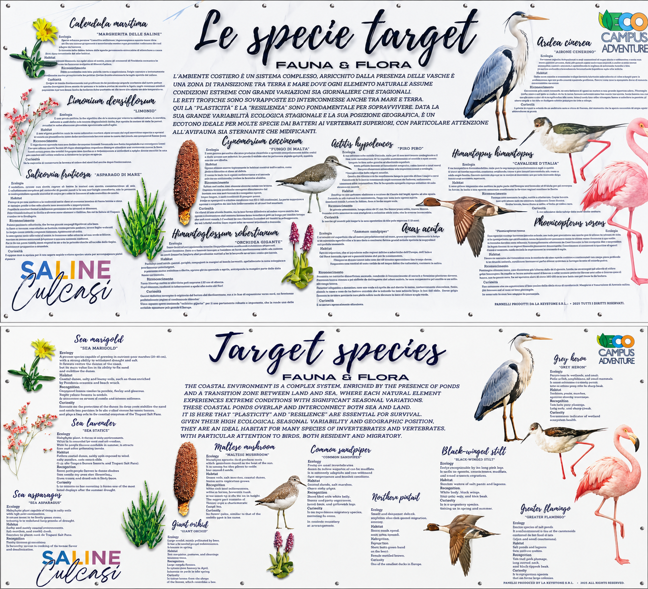 Le specie target: fauna & flora